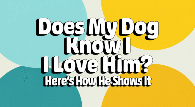 Does My Dog Know I Love Him? Here’s How To Know