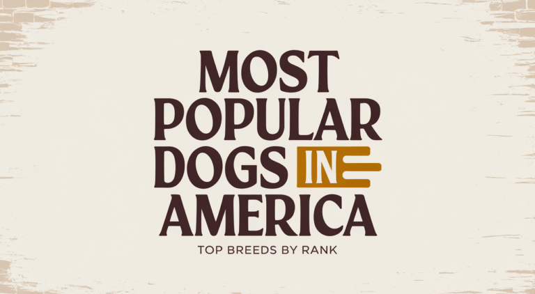 Most Popular Dogs in America (Infographic)